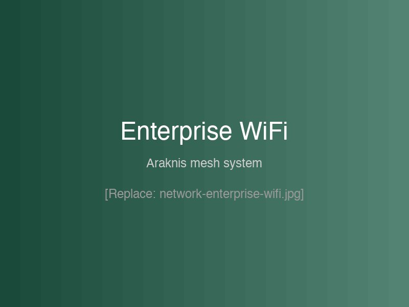 Enterprise WiFi